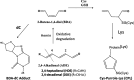 Fig. 8