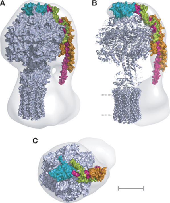 Figure 2