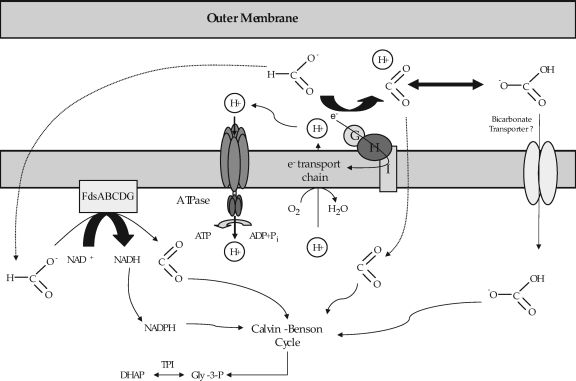 FIG. 7.