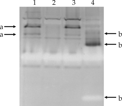 FIG. 5.