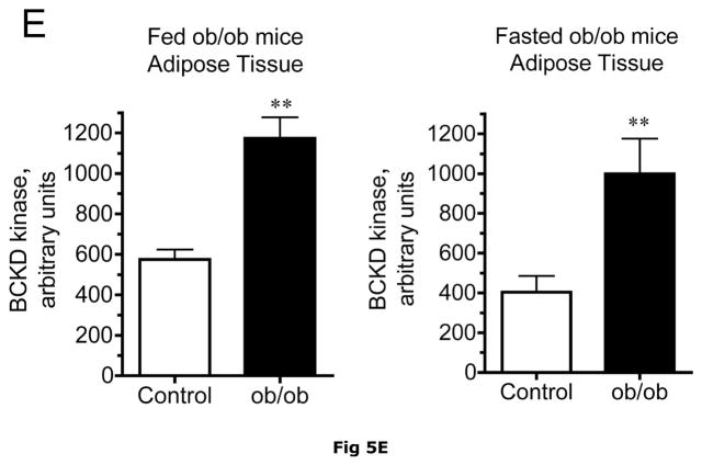 Fig 5