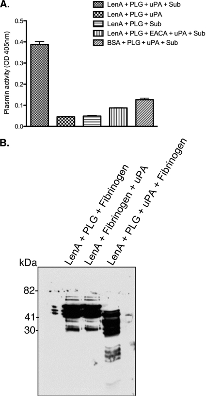 FIG. 7.