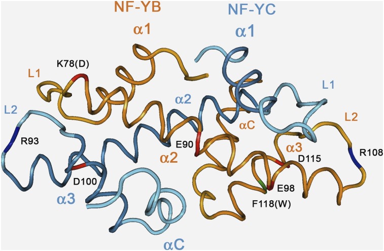 Figure 6.