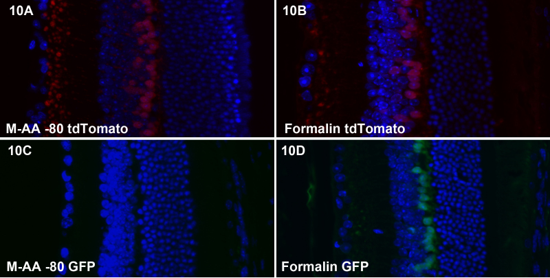 Figure 10