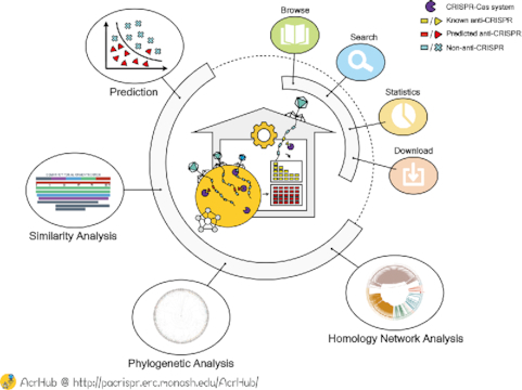 Graphical Abstract