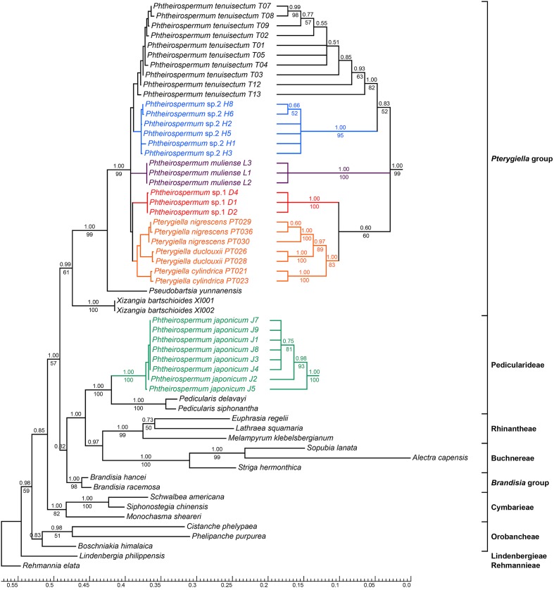 FIGURE 3