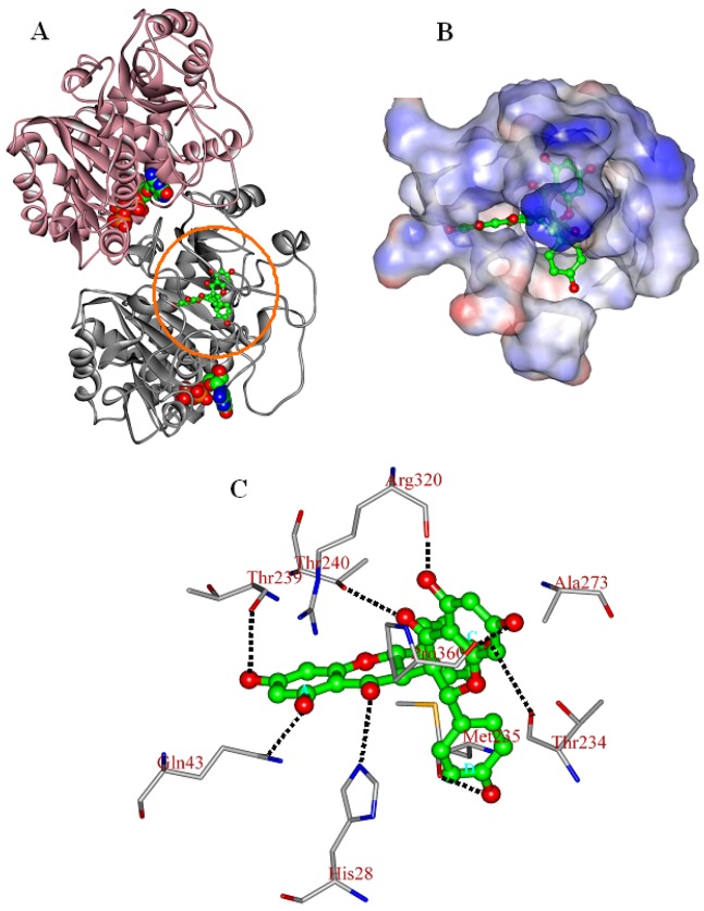 Figure 4