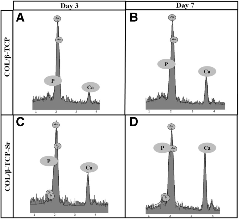 Fig. 7