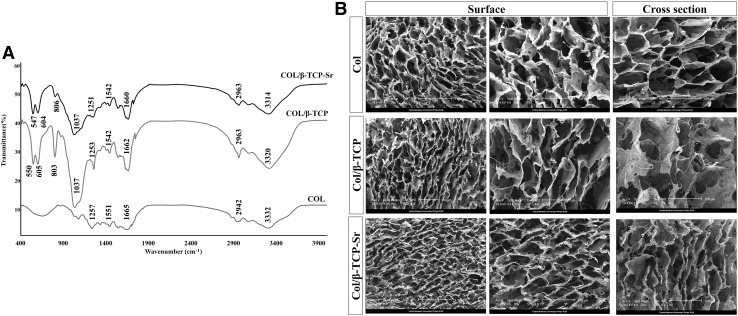 Fig. 4