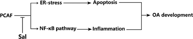 Image, graphical abstract