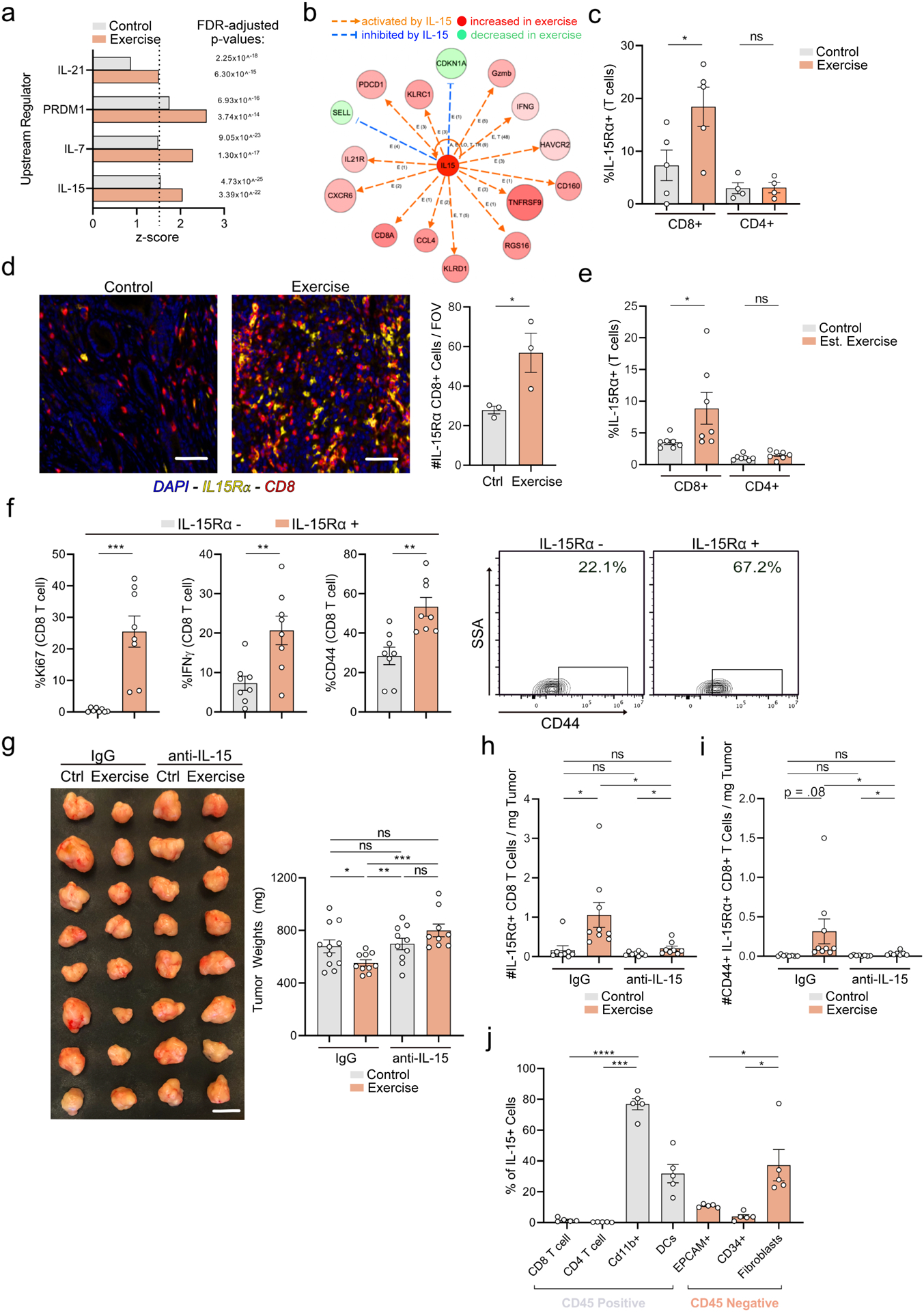 Figure 4: