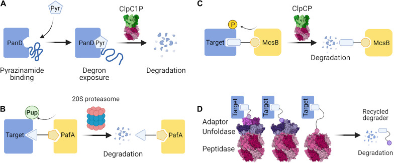 FIGURE 4