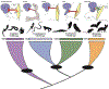 Figure 1: