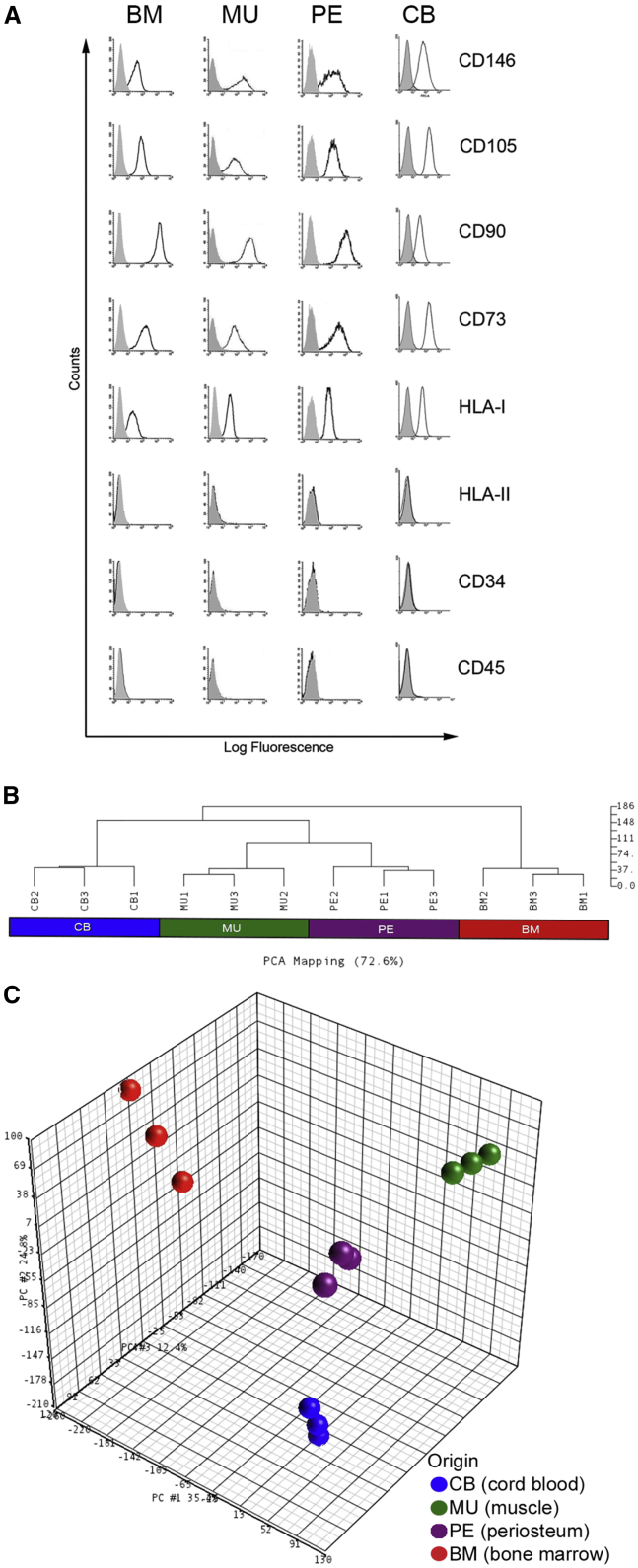 Figure 1