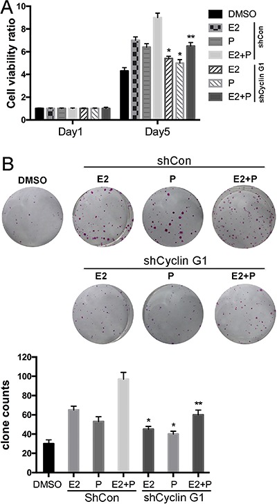 Figure 6.