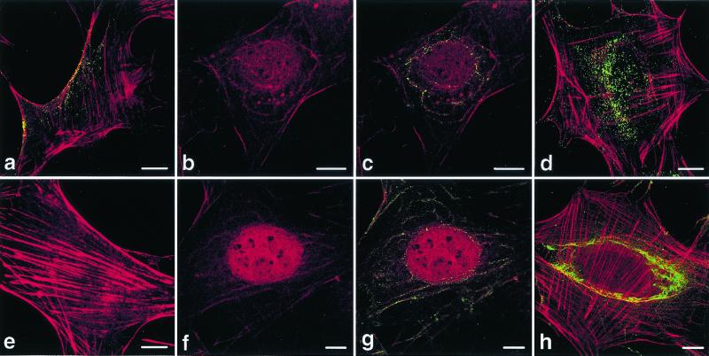 FIG. 8