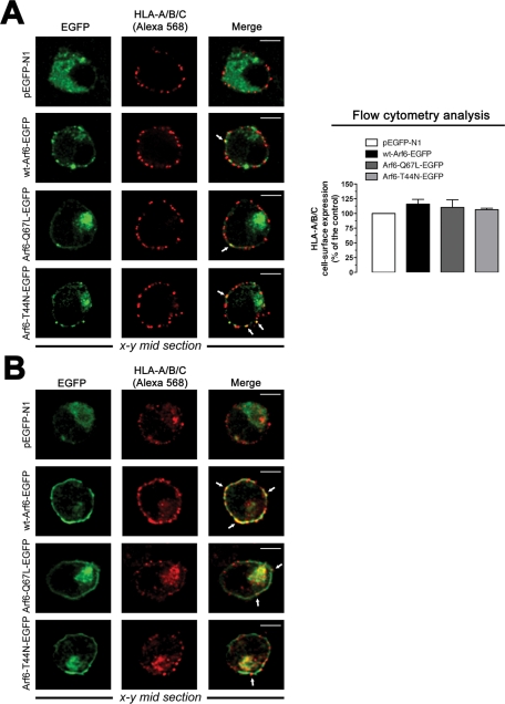 FIGURE 2: