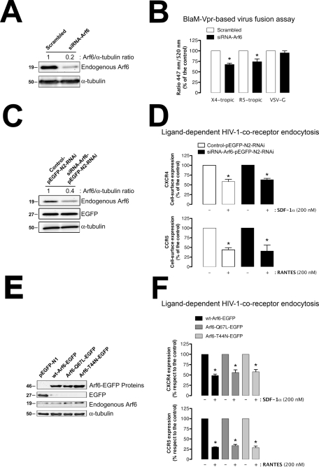 FIGURE 10: