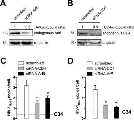 FIGURE 6: