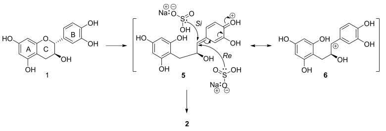 Scheme 2