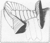 383