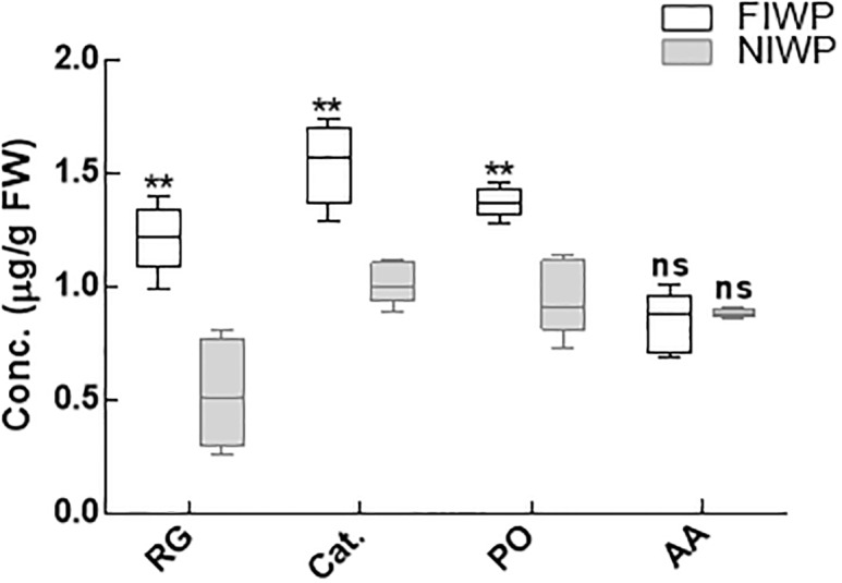 Fig 6