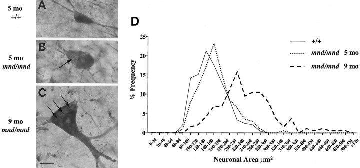 Fig. 8.