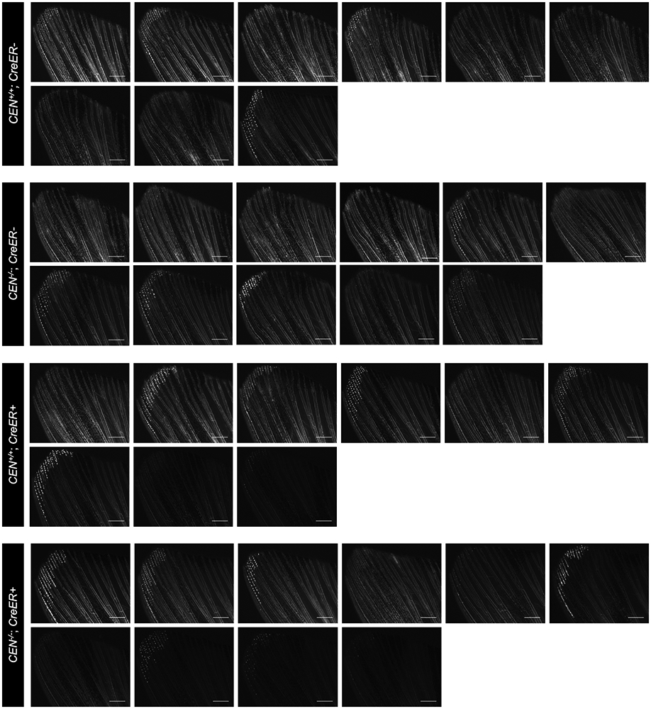 Extended Data Fig. 9