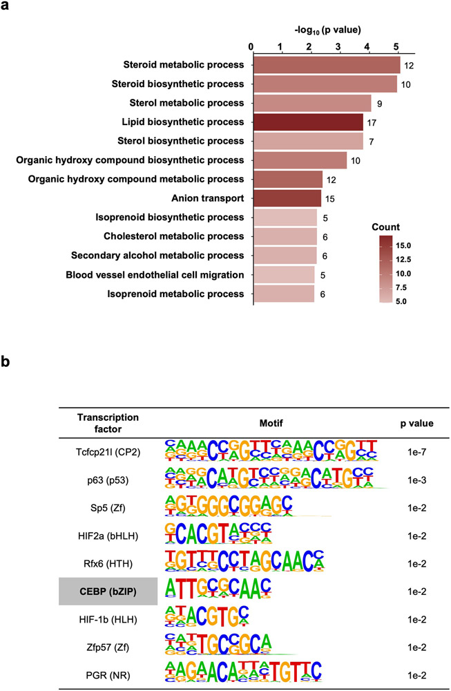 Extended Data Fig. 1