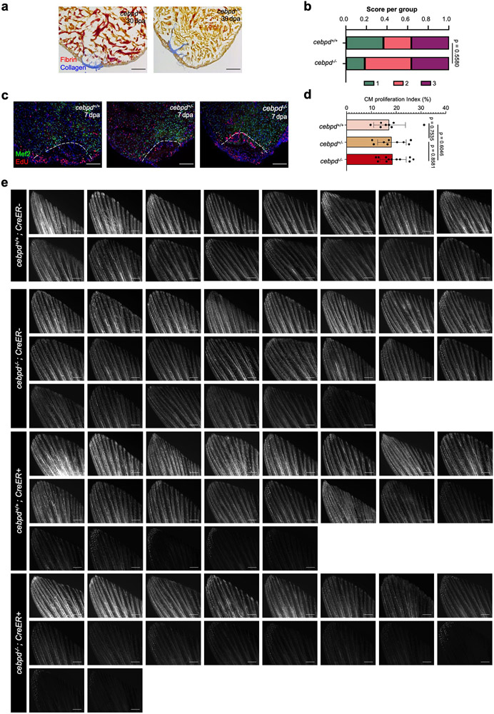 Extended Data Fig. 3