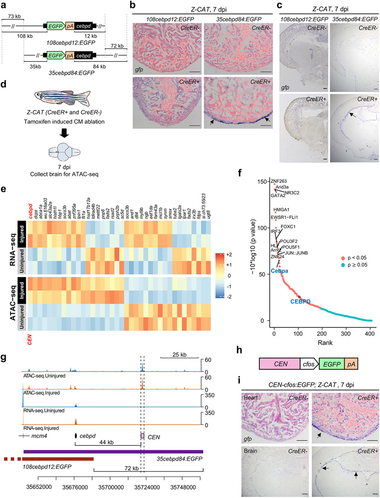 Fig. 4: