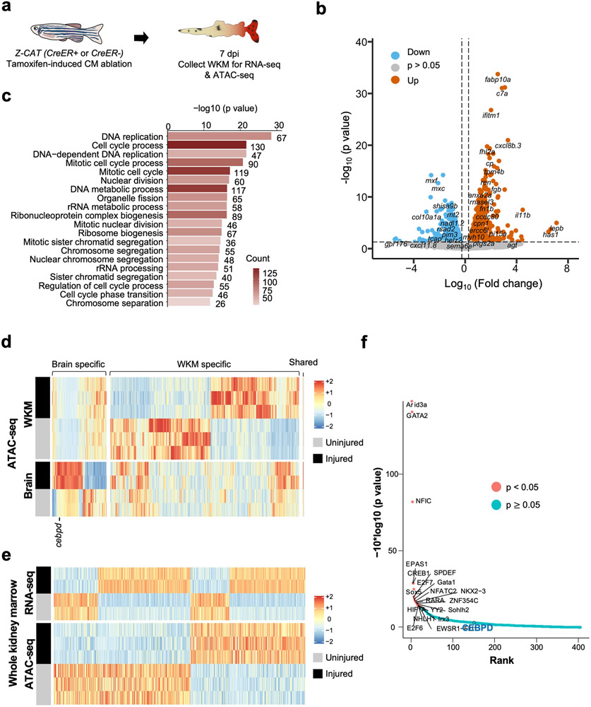 Extended Data Fig. 6