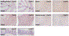 Extended Data Fig. 2