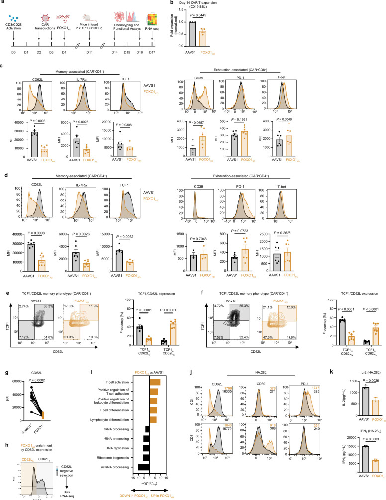 Extended Data Fig. 2