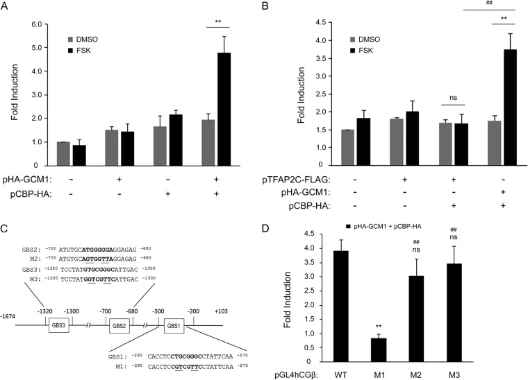 FIG 4