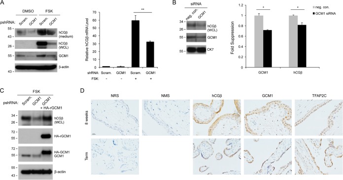 FIG 2