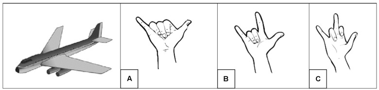 FIGURE 2