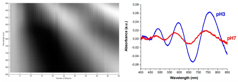 Figure 18