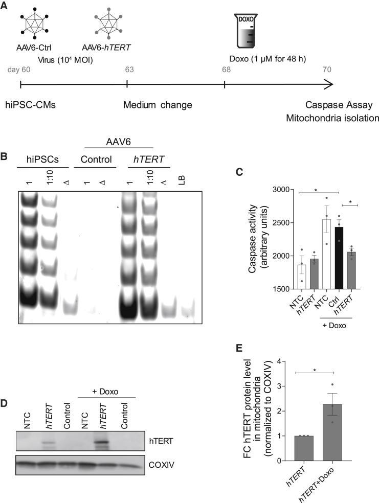 Figure 6