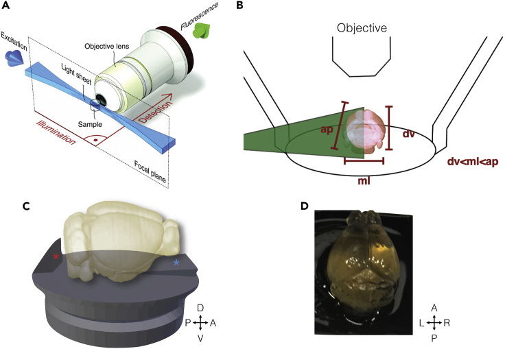 Figure 6