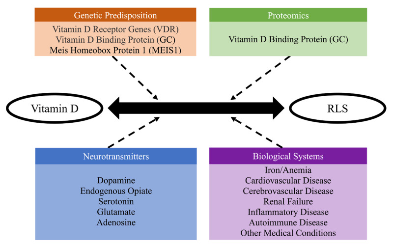 Hypothetical influences on the interaction between vitamin D and restless legs syndrome