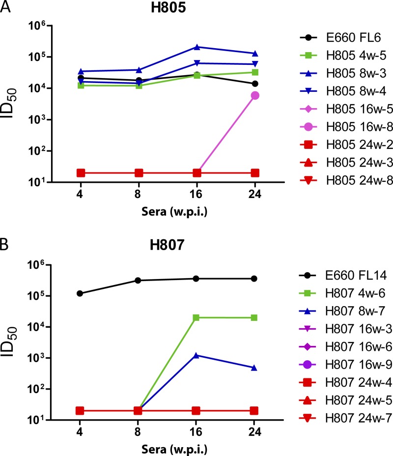 Fig 6