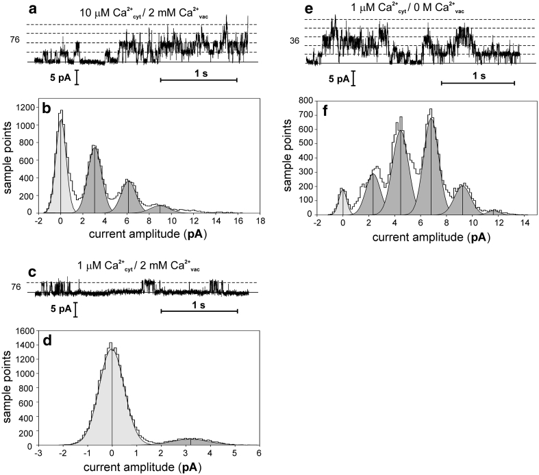 Fig. 4