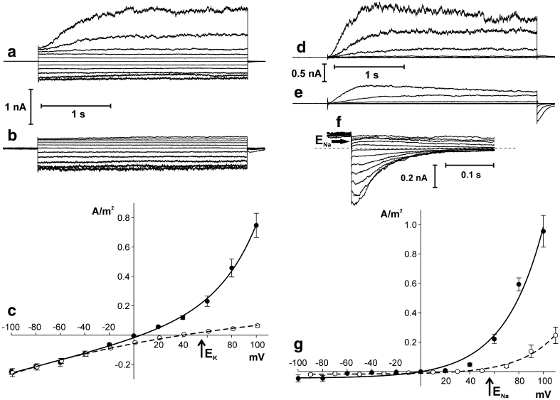 Fig. 1