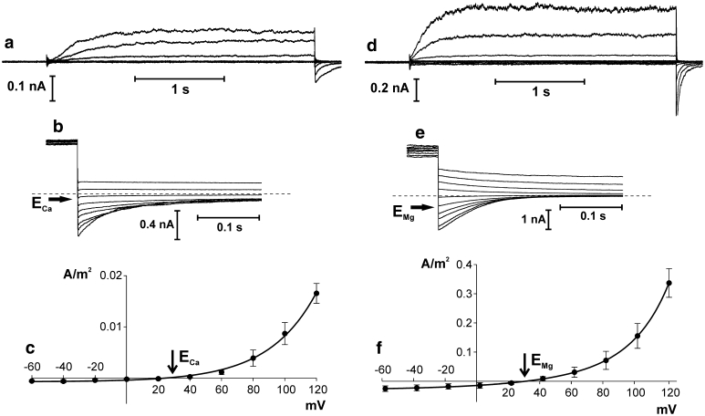 Fig. 6