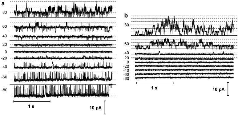 Fig. 2