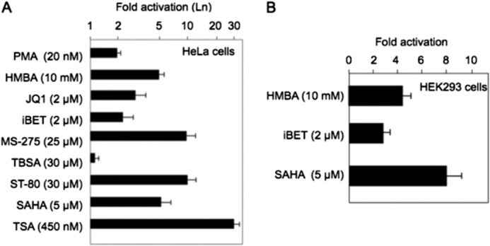 FIGURE 4.