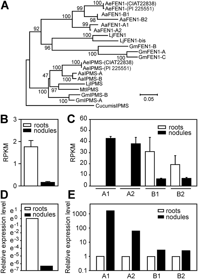 Figure 5