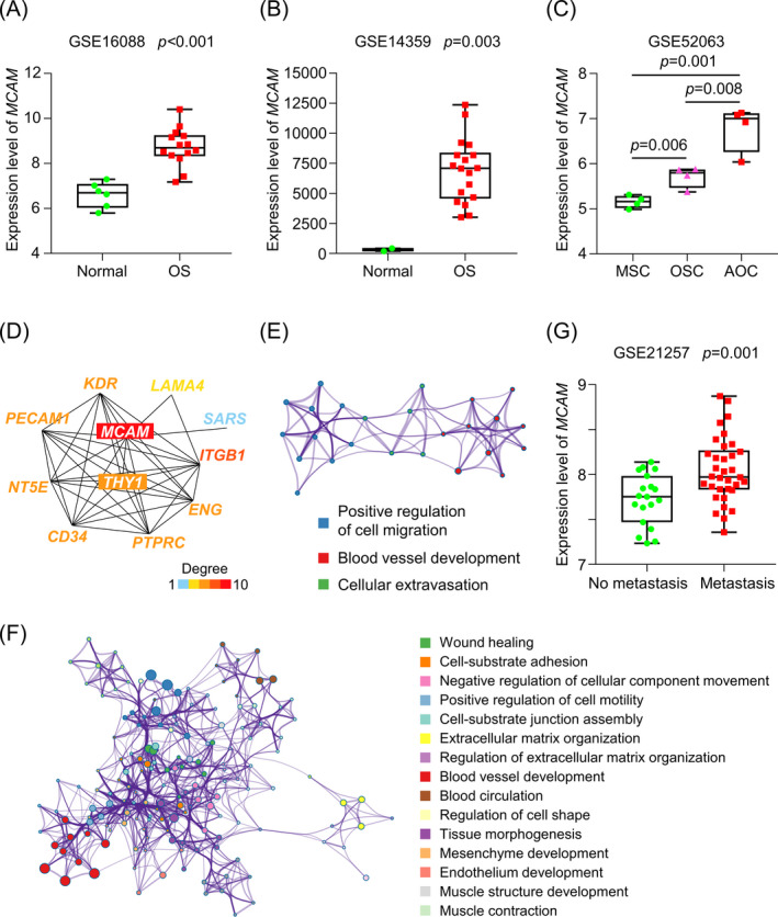 FIGURE 2