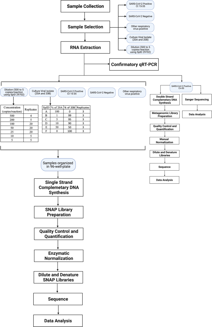 Supplemental Figure S1